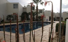 Evros Peyia & Coral Bay Seaview Apartment